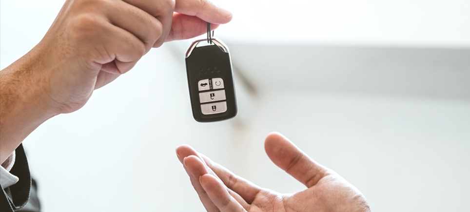 Welche Gebrauchtwagen finden  Sie im Autoverkauf? 